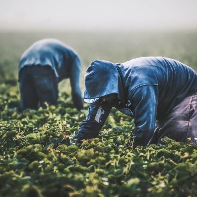 Grassroots Organizations Are Not “Last Mile” Implementers, They Are the System
